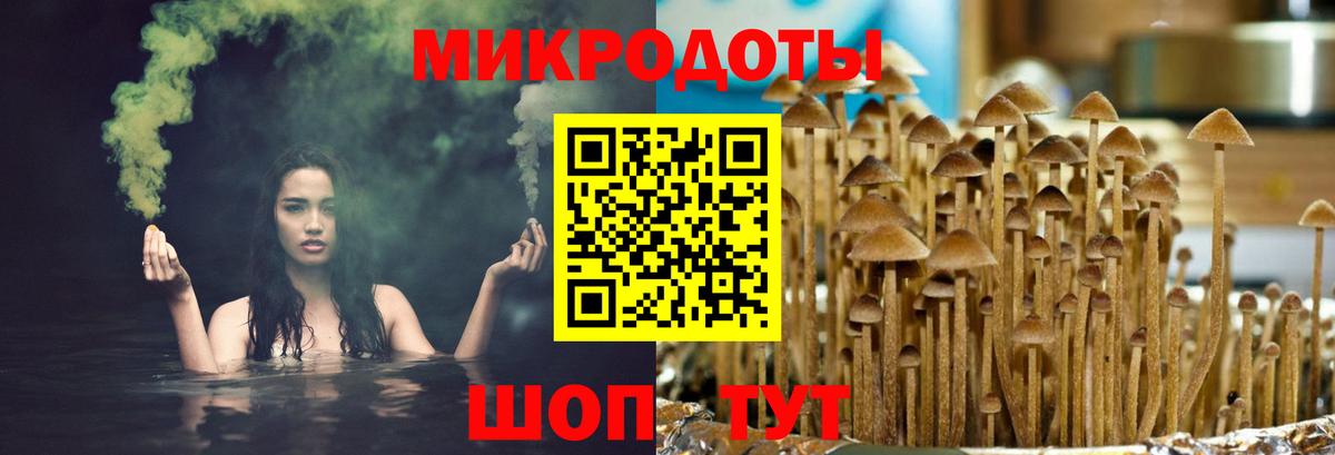 Галлюциногенные грибы ЛСД Казань